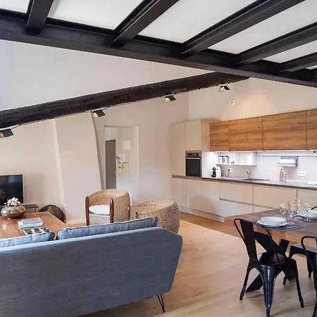 Loft Nid Douillet Apartment *